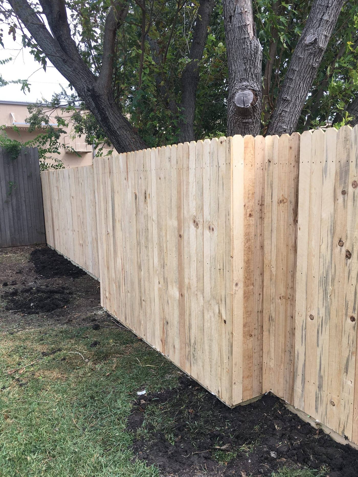 Cedar fence in Richardson, TX — 6-foot with single-trim cap