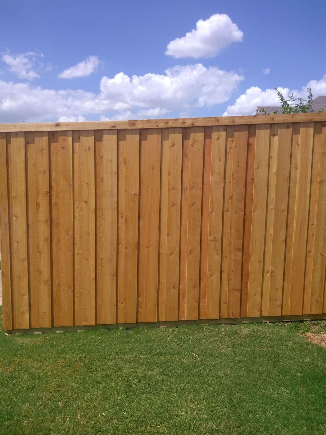 Cedar board-on-board fence run along a back lawn