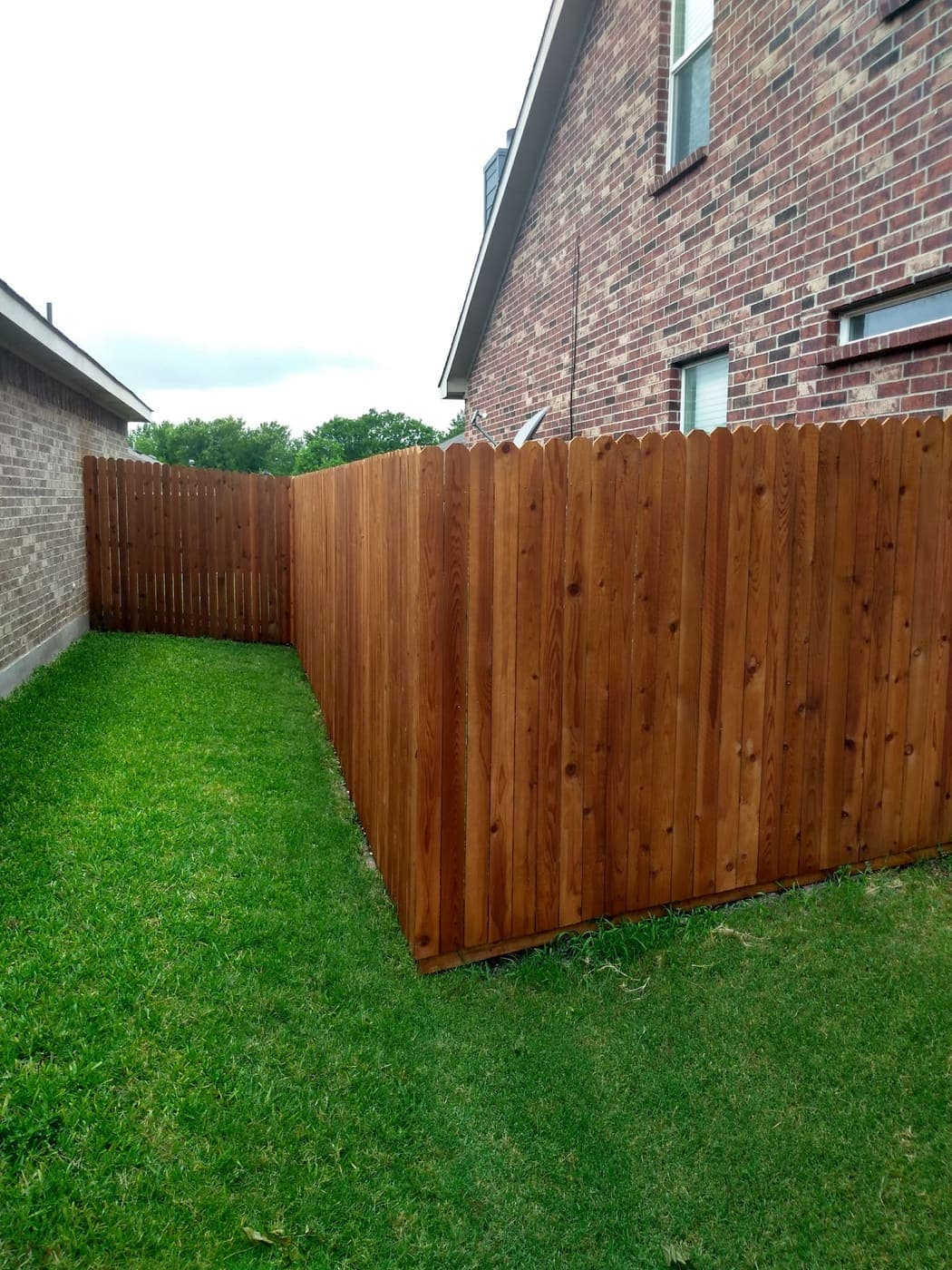 Cedar board-on-board fence and cap along a green back lawn