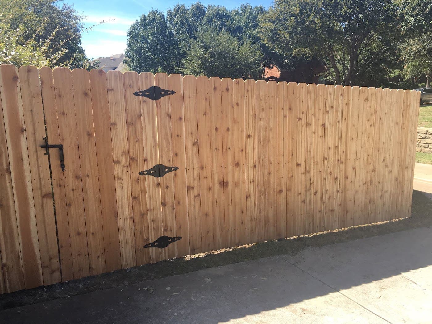 Tall cedar gate with three black hinges
